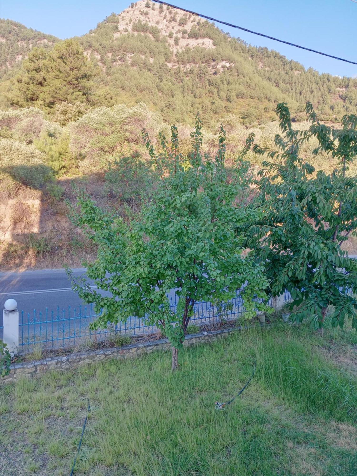 King Studios Kínira Kültér fotó